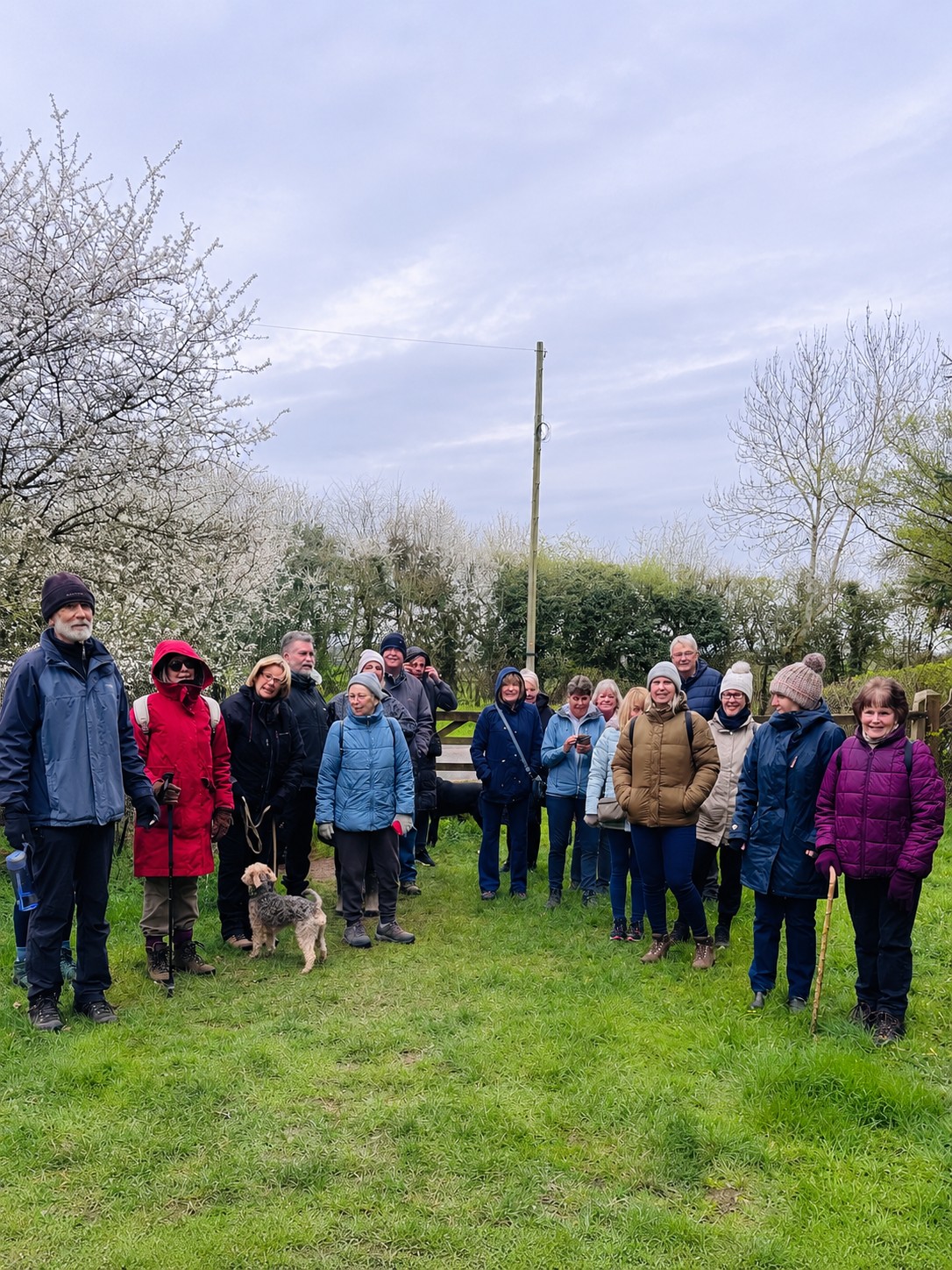 SOCIAL WALKS